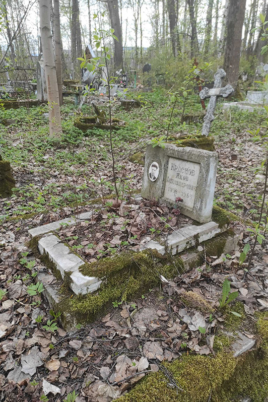 Краснов Яков Александрович