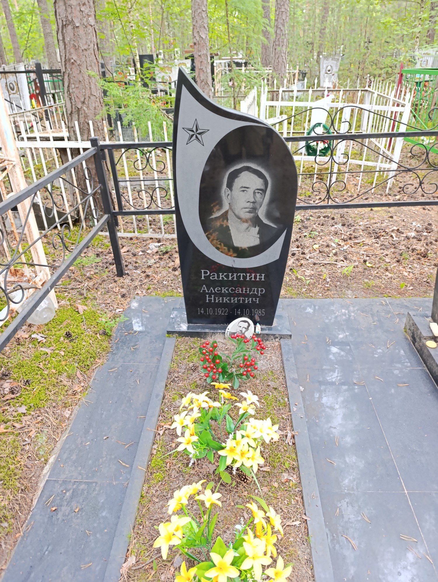 Ракитин Александр Никитич