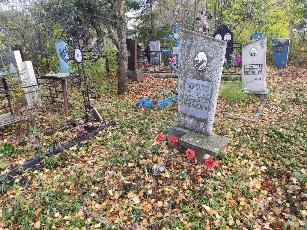 Гриднев Александр Сергеевич