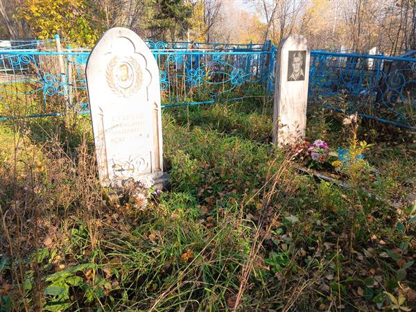 Вервейн Владимир Александрович