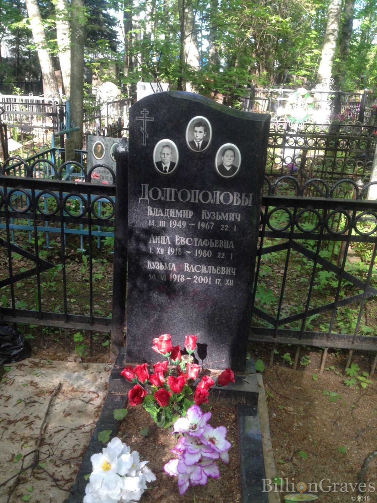 Долгополов Владимир Кузьмич