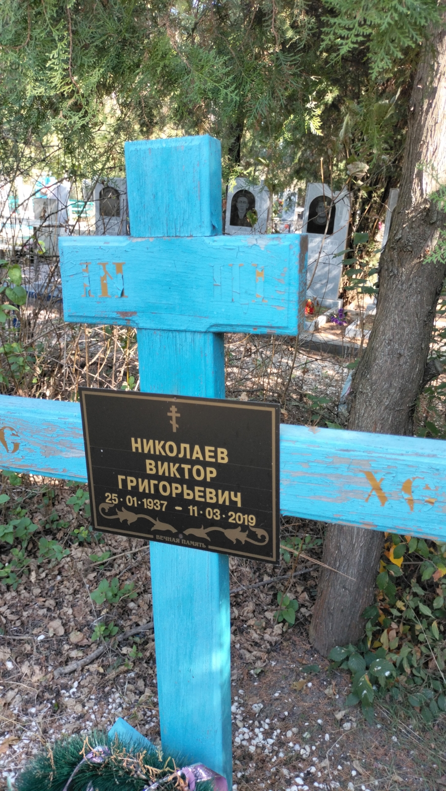 Николаев Виктор Григорьевич