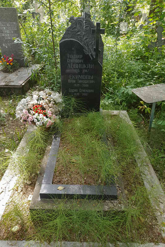 Левицкий Александр Семенович