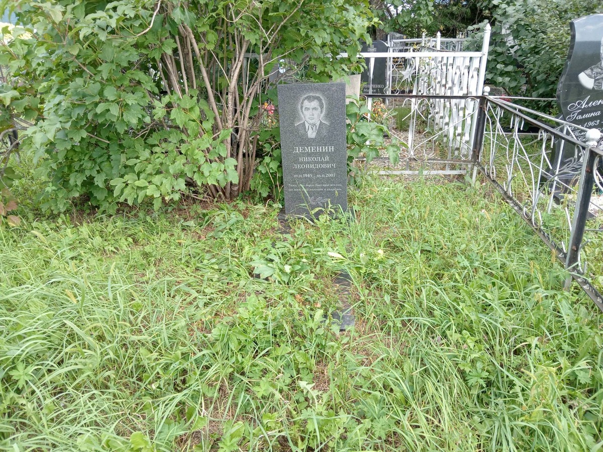 Деменин Николай Леонидович