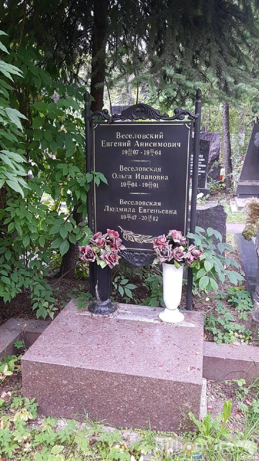 Веселовский Евгений Анисимович