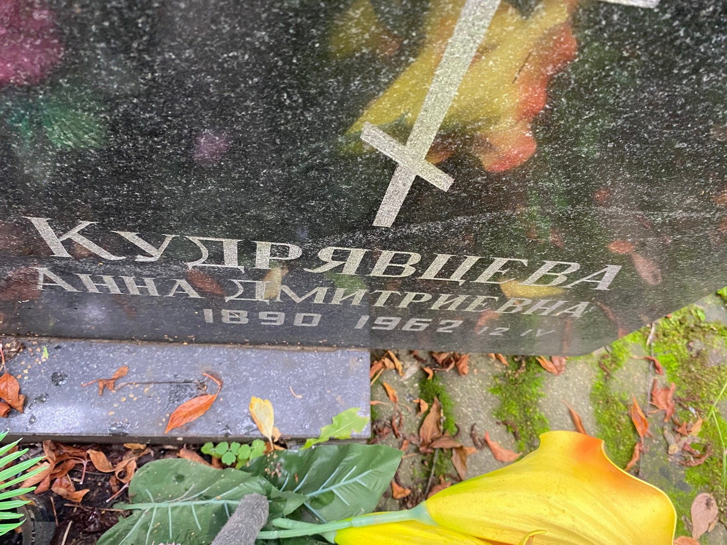 Кудрявцева