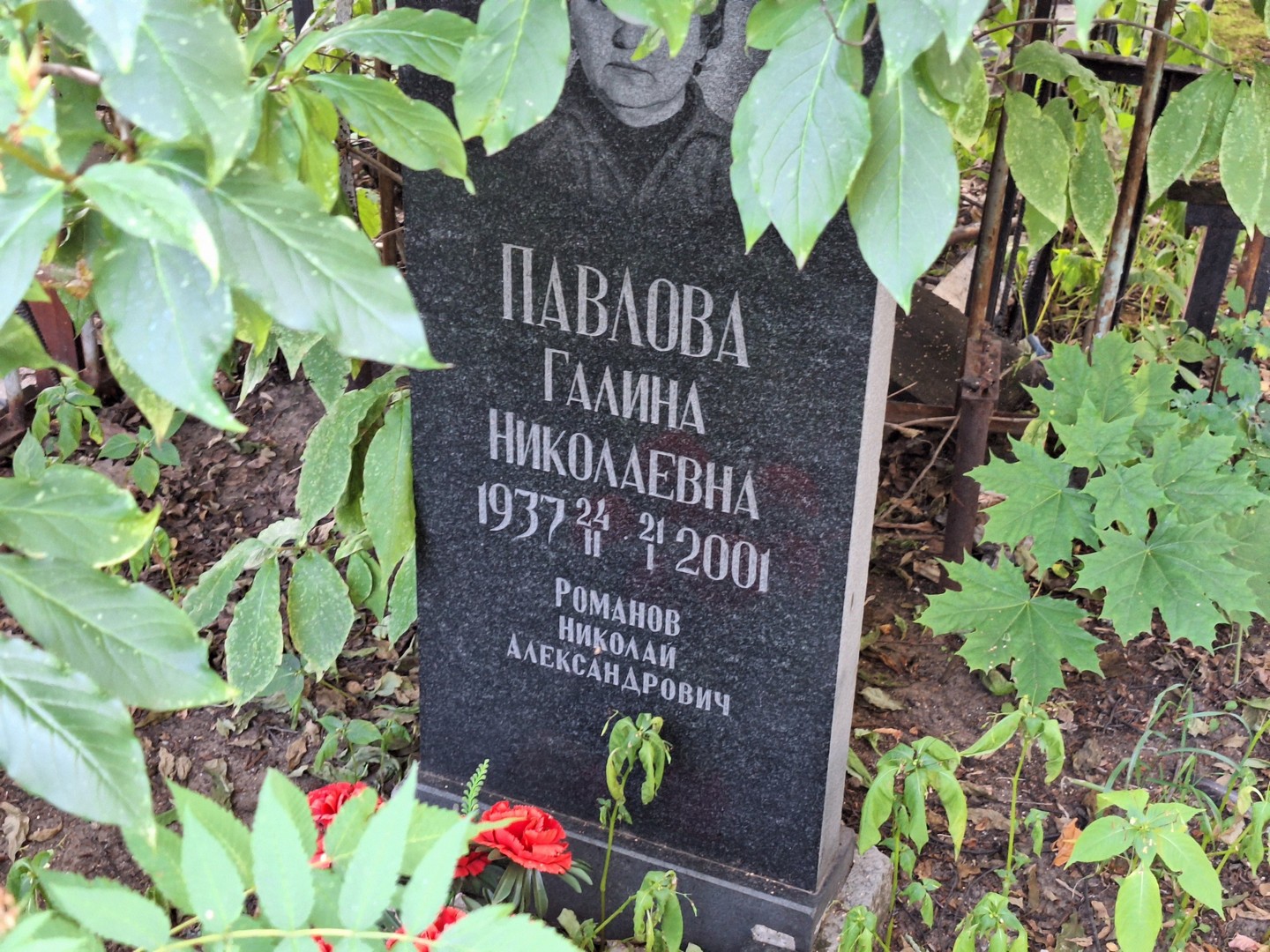 Павлова