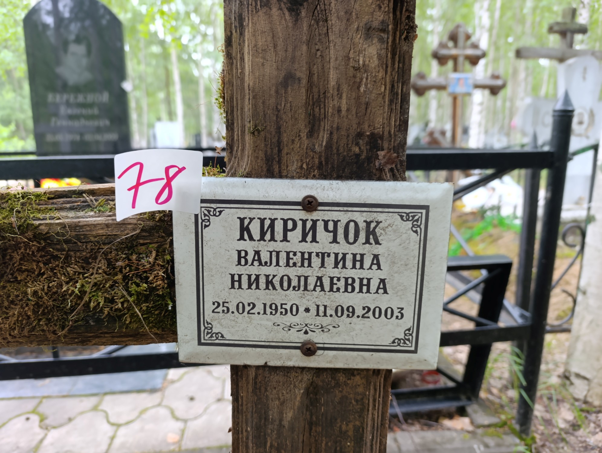 Киричок Валентина Николаевна