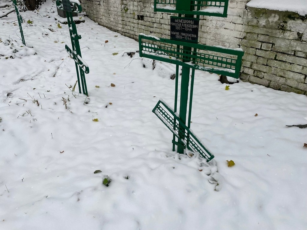 Мемешкин Николай Алексеевич