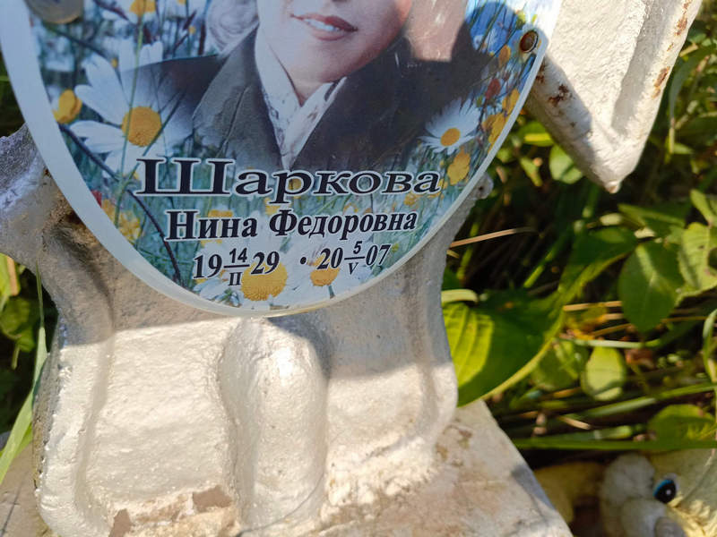 Шаркова