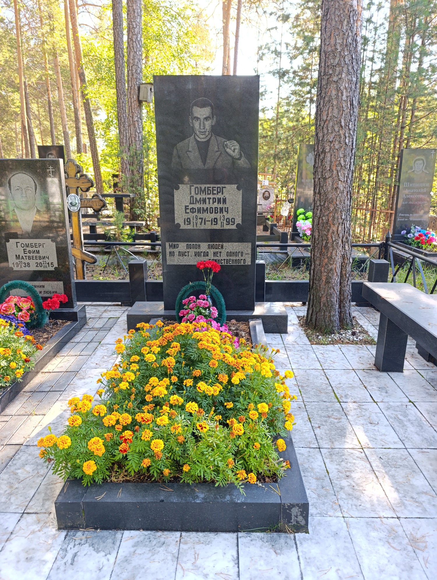 Гомберг Дмитрий Ефимович