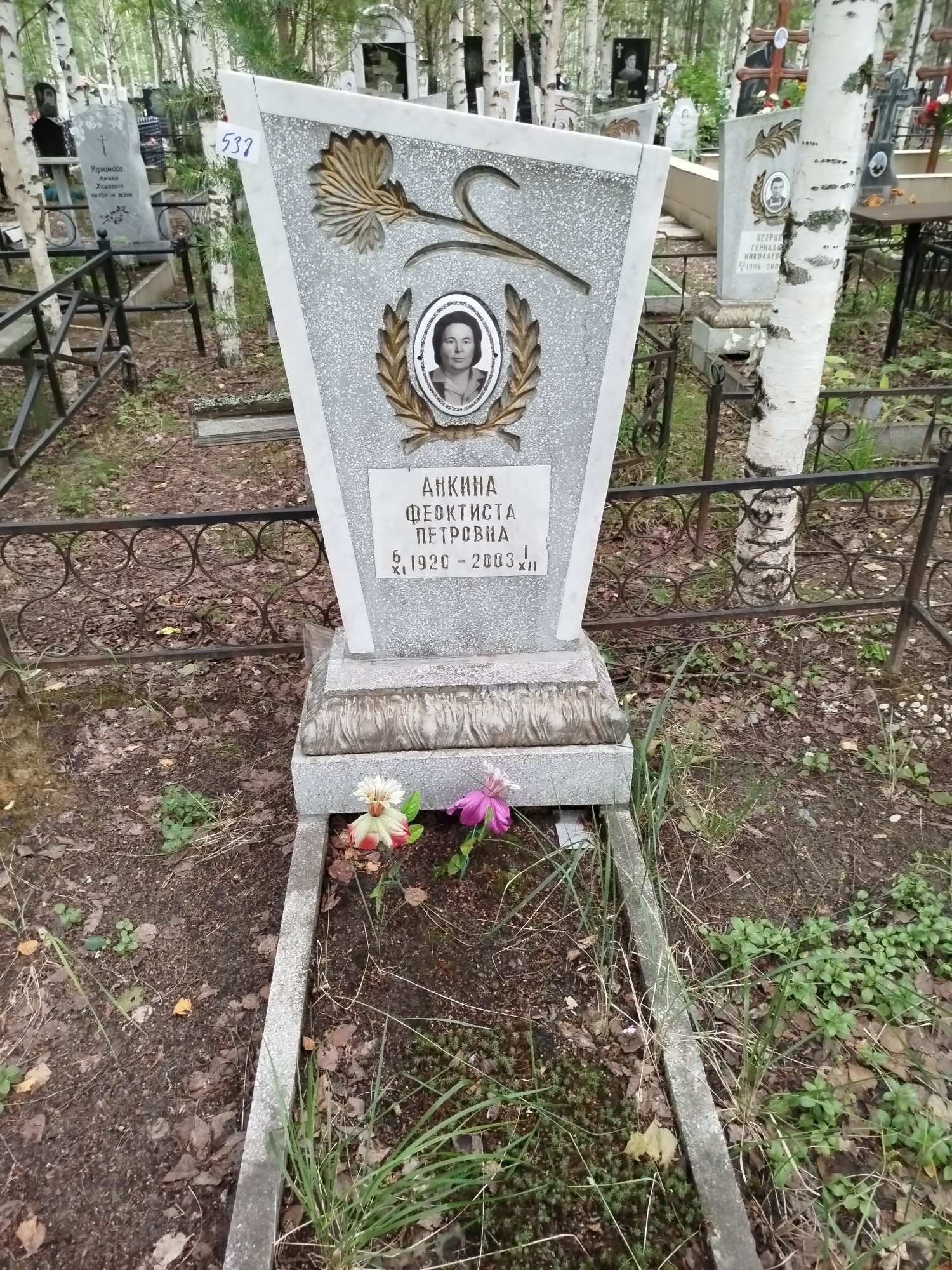 Анкина Феоктиста Петровна