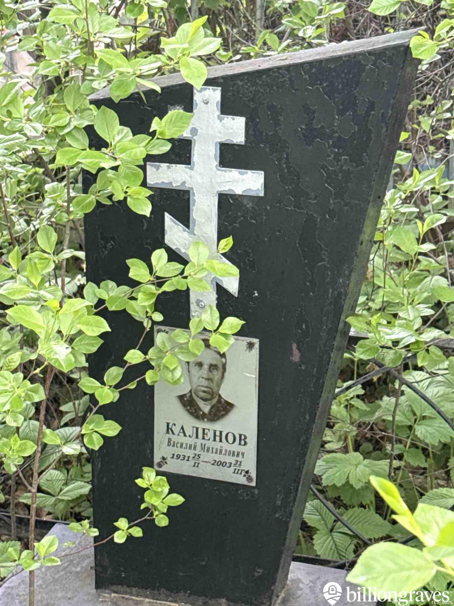 Каленов Василий Михайлович