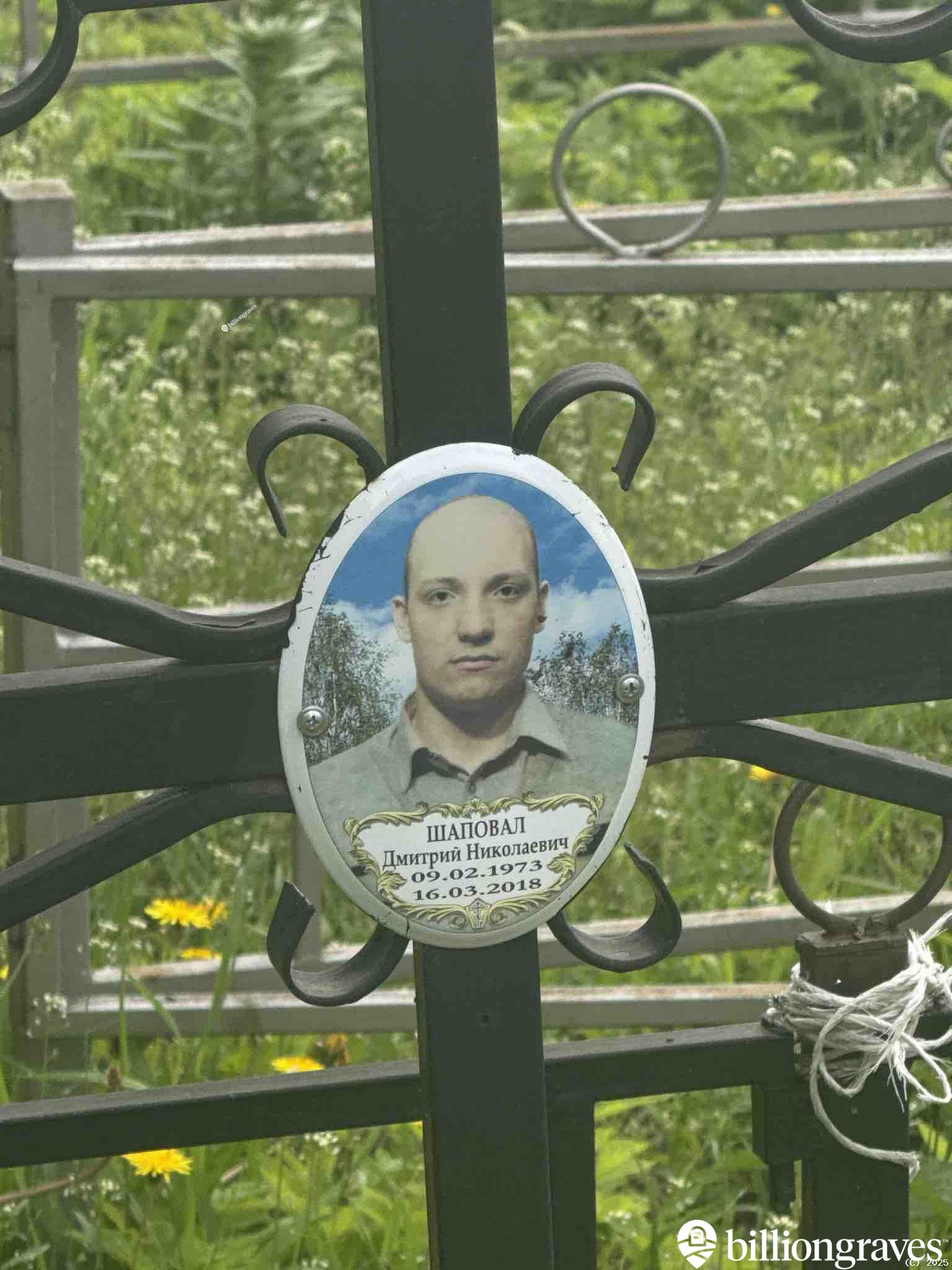 Шаповал Дмитрий Николаевич