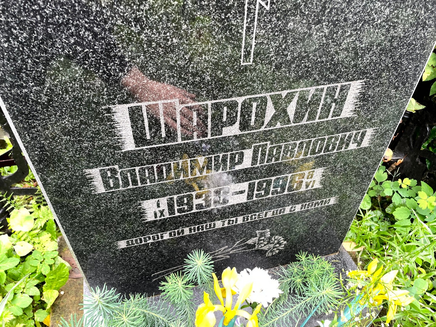 Шарохин