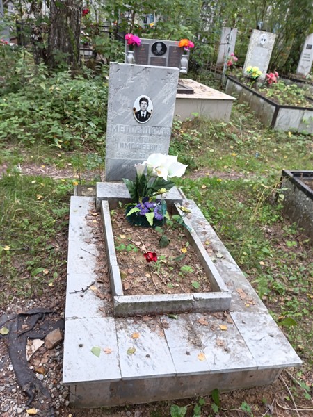 Медовщиков Виктор Тимофеевич