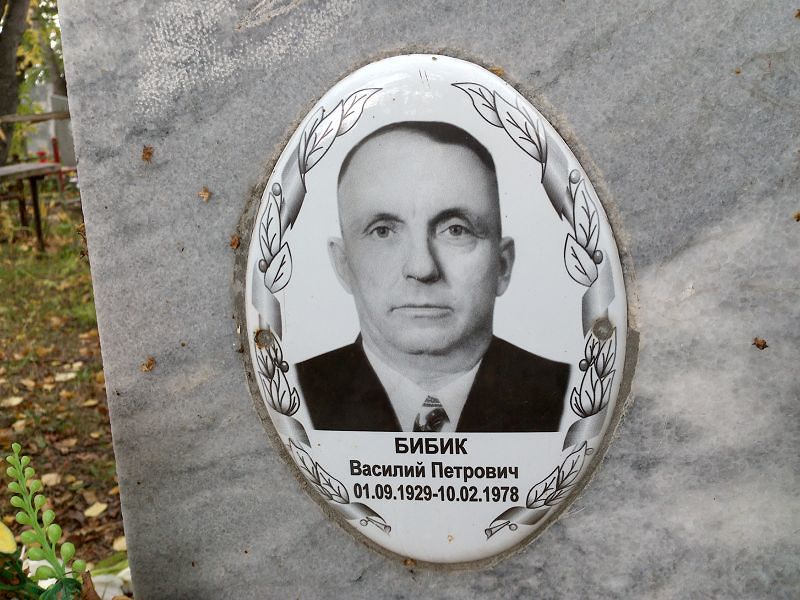 Бибик