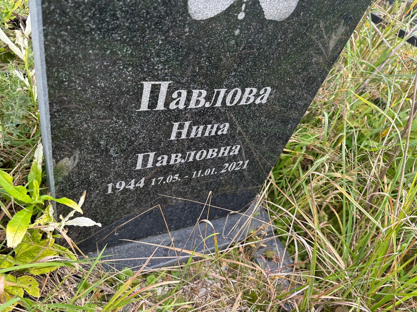 Павлова