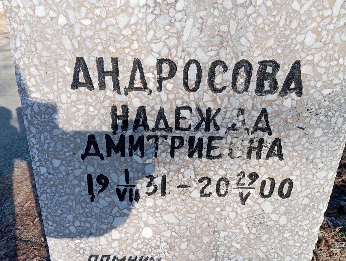 Андросова Надежда Дмитриевна