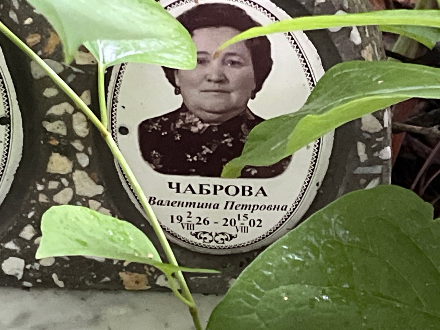 Чаброва