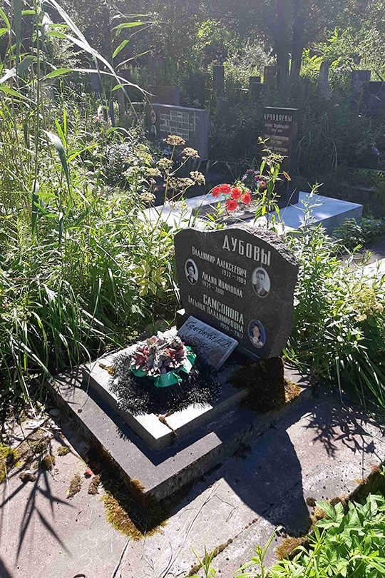 Дубов Владимир Алексеевич