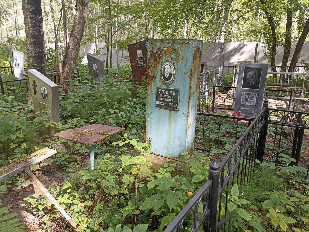 Уткин Анатолий Максимович