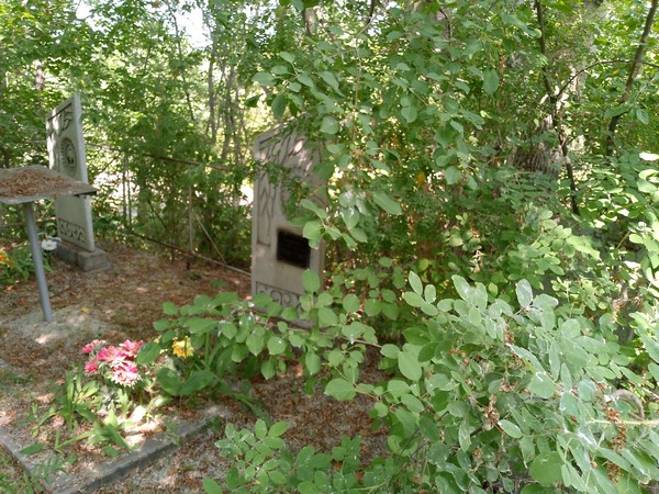 Мышкин Леонид Акимович