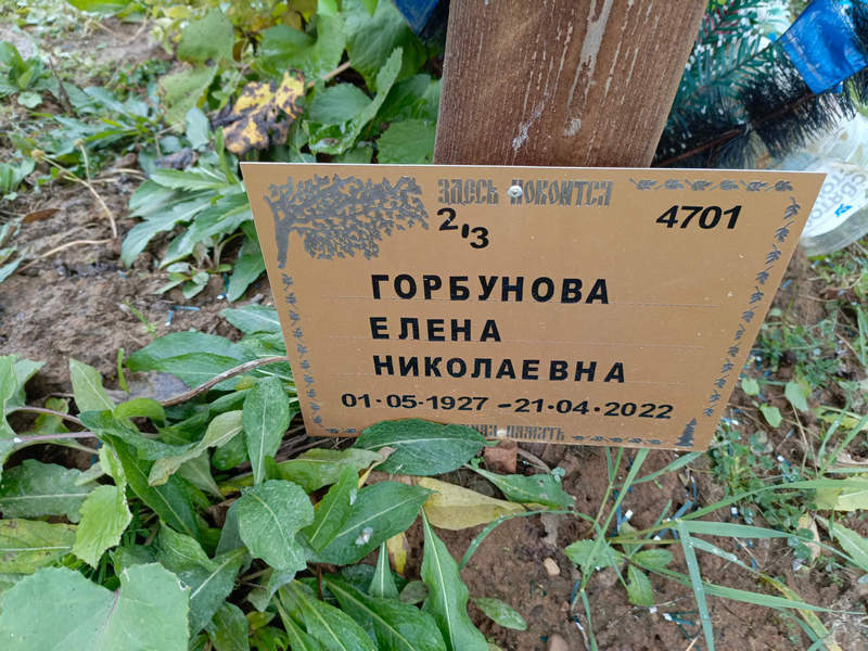 Горбунова