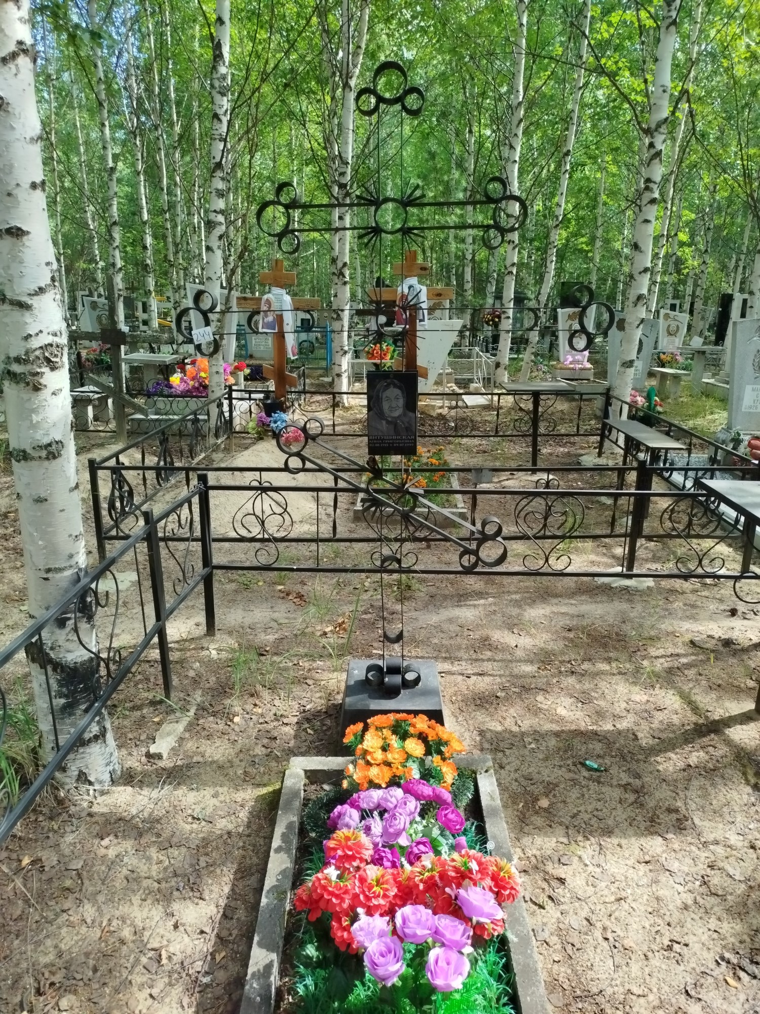 Витушинская Анна Григорьевна