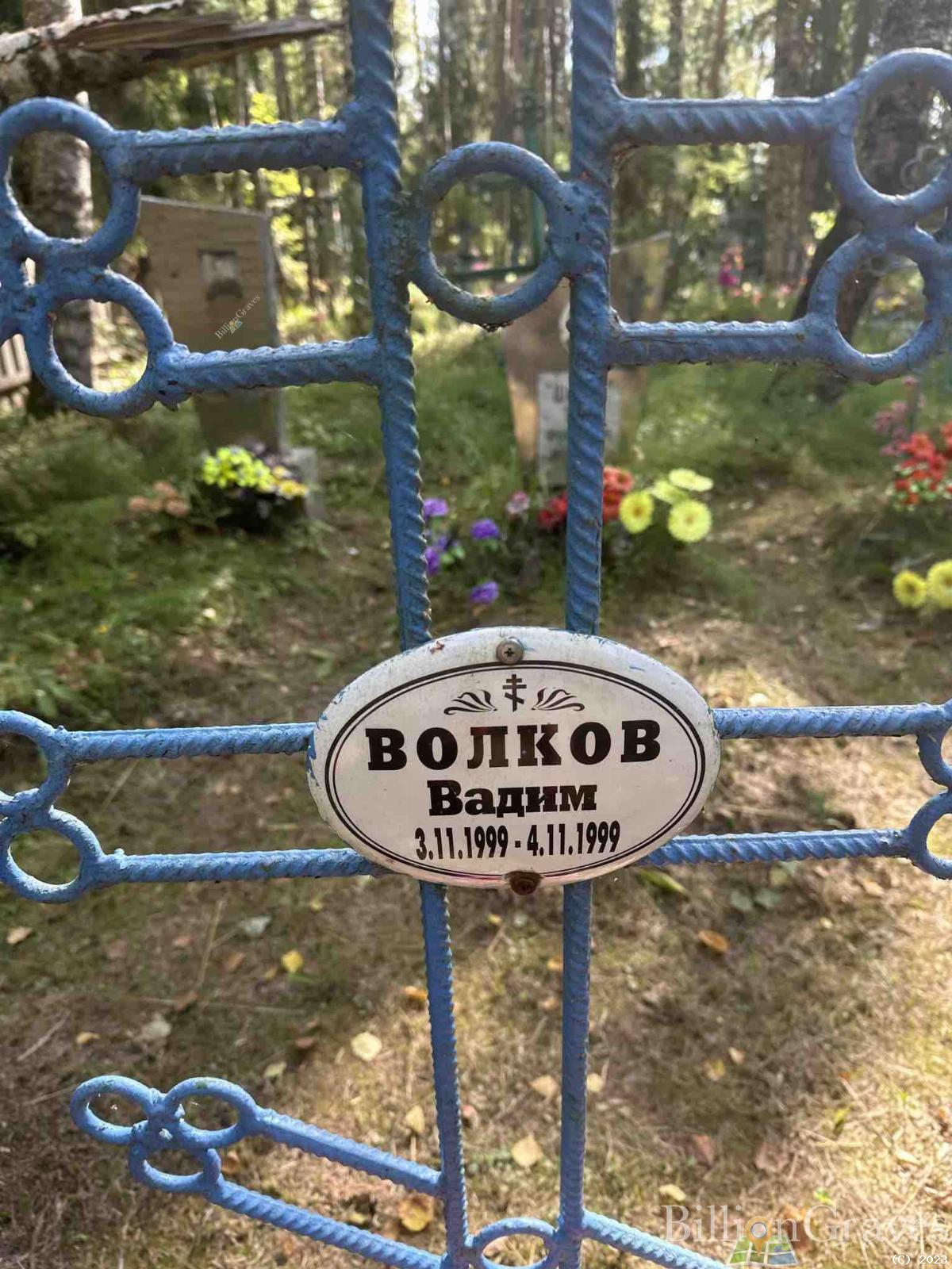 Волков Вадим