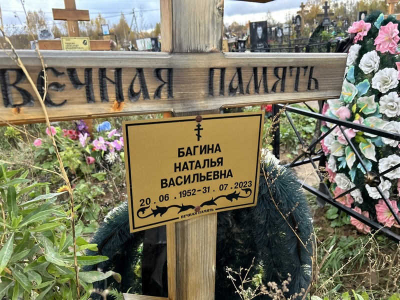 Багина