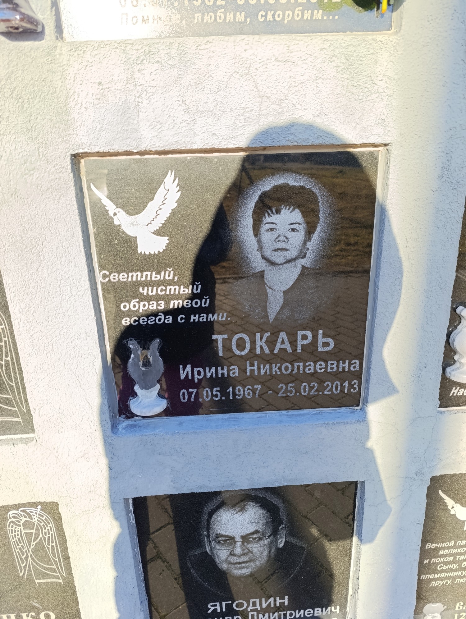 Токарь Ирина Николаевна