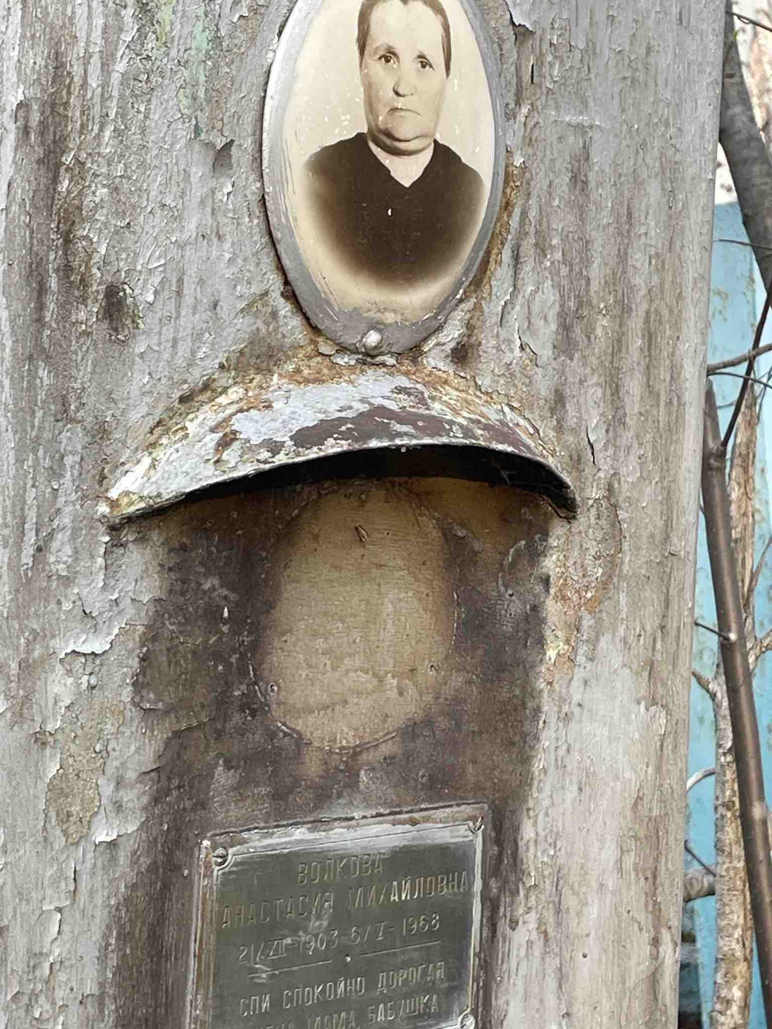 Волкова Анастасия Михайловна