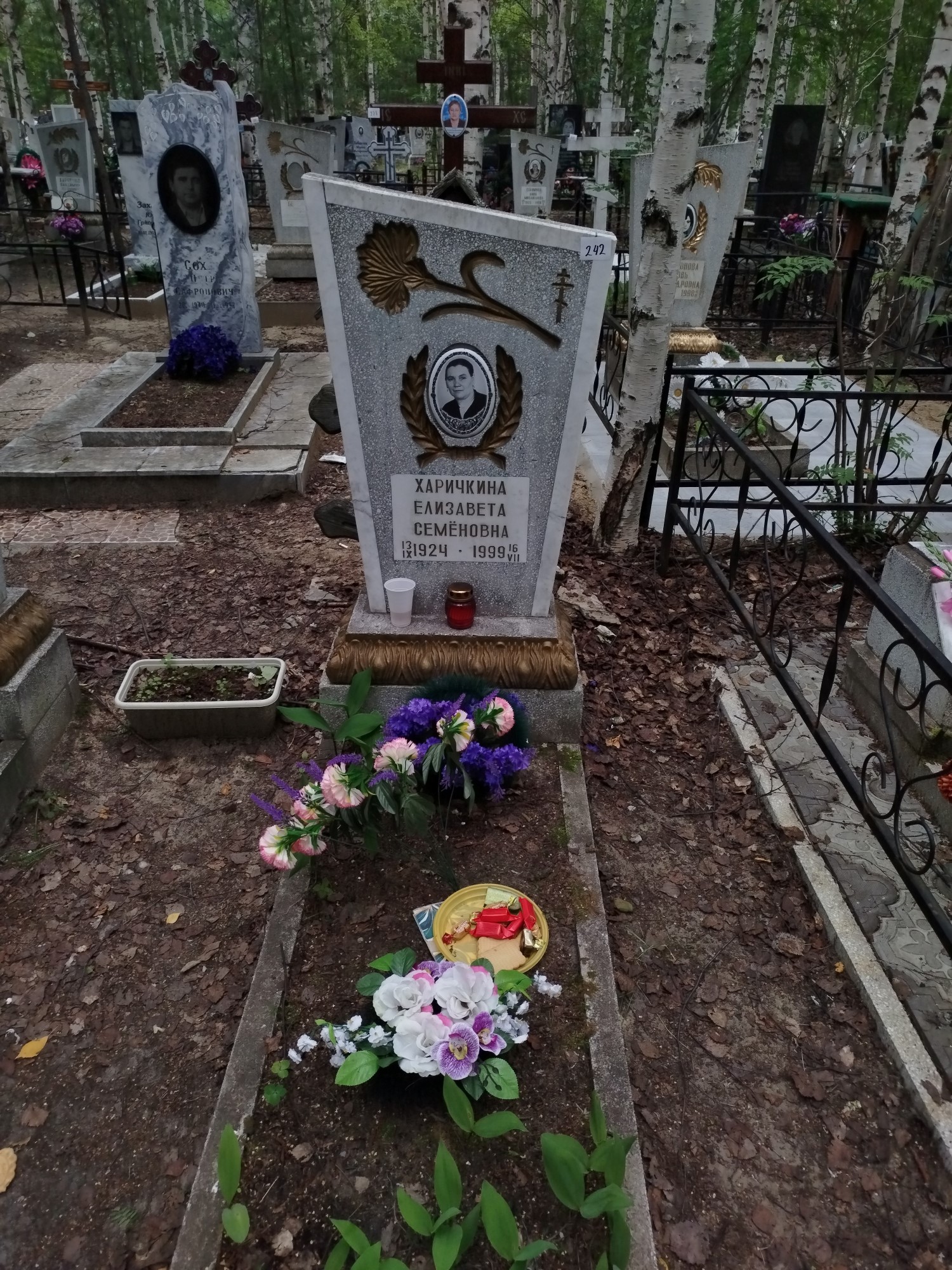 Харичкина Елизавета Семёновна