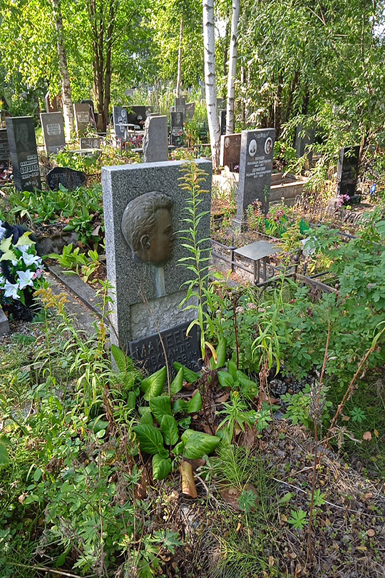 Макеев Александр Николаевич