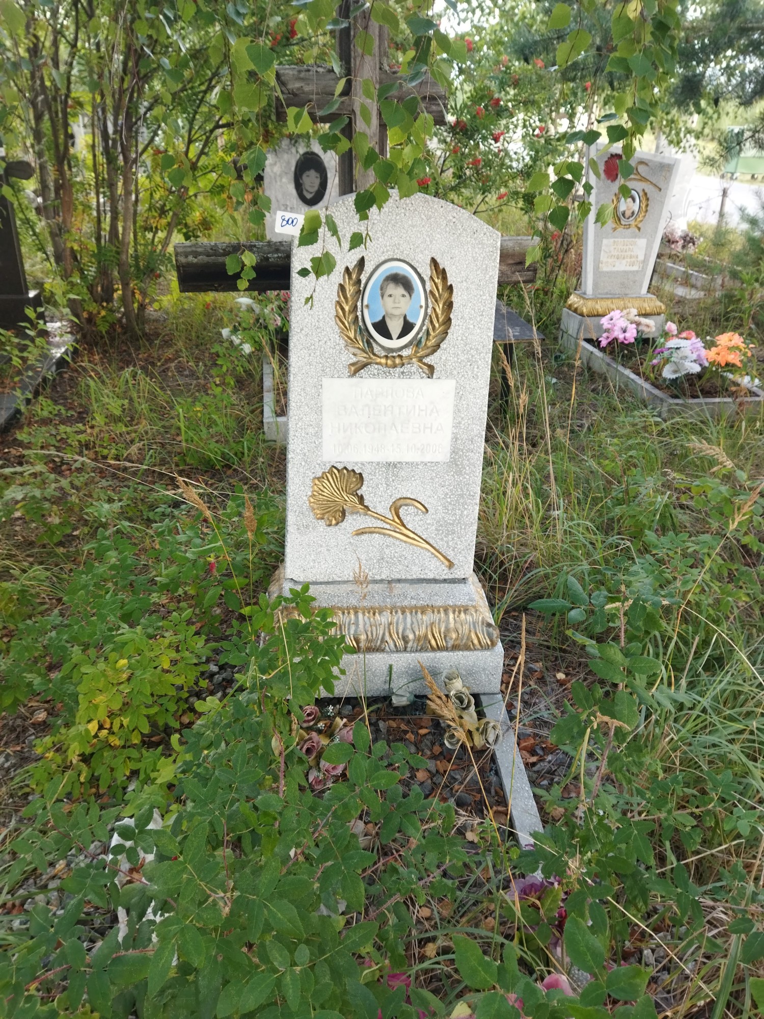 Павлова Валентина Николаевна