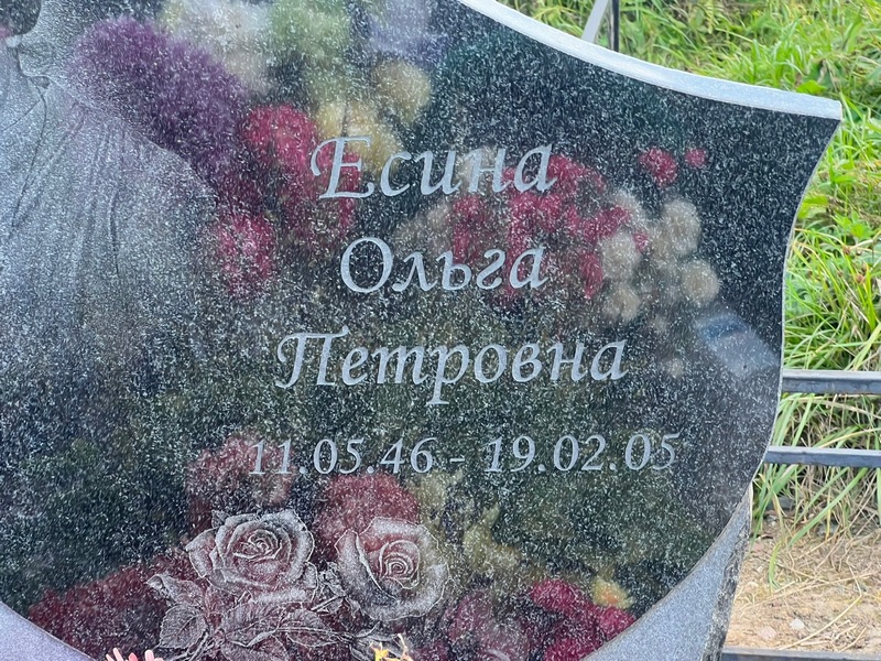 Есина