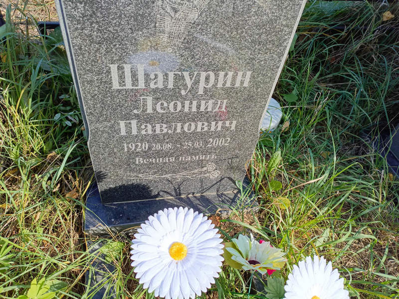 Шагурин