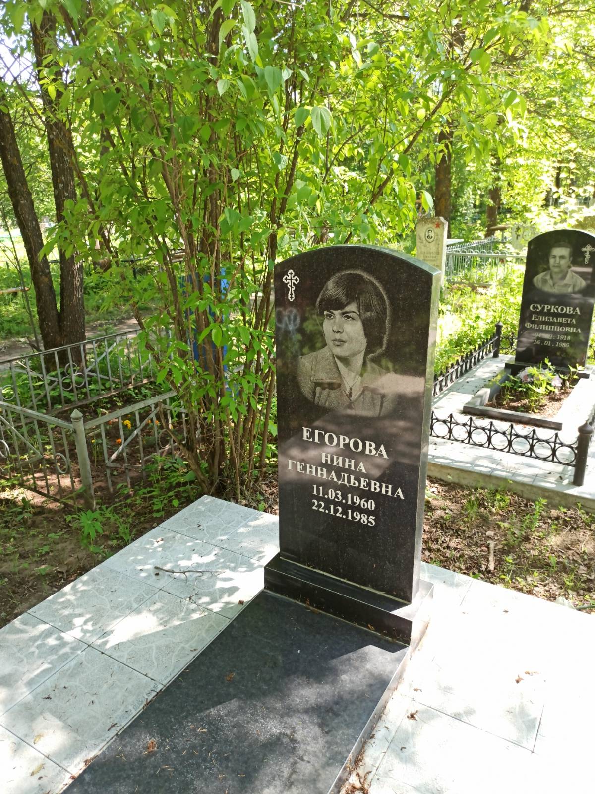 Суркова Елизавета Филипповна