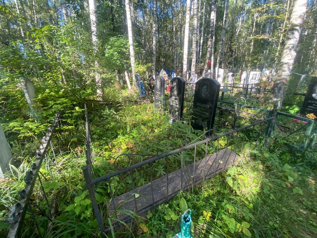 Любавин Борис Григорьевич
