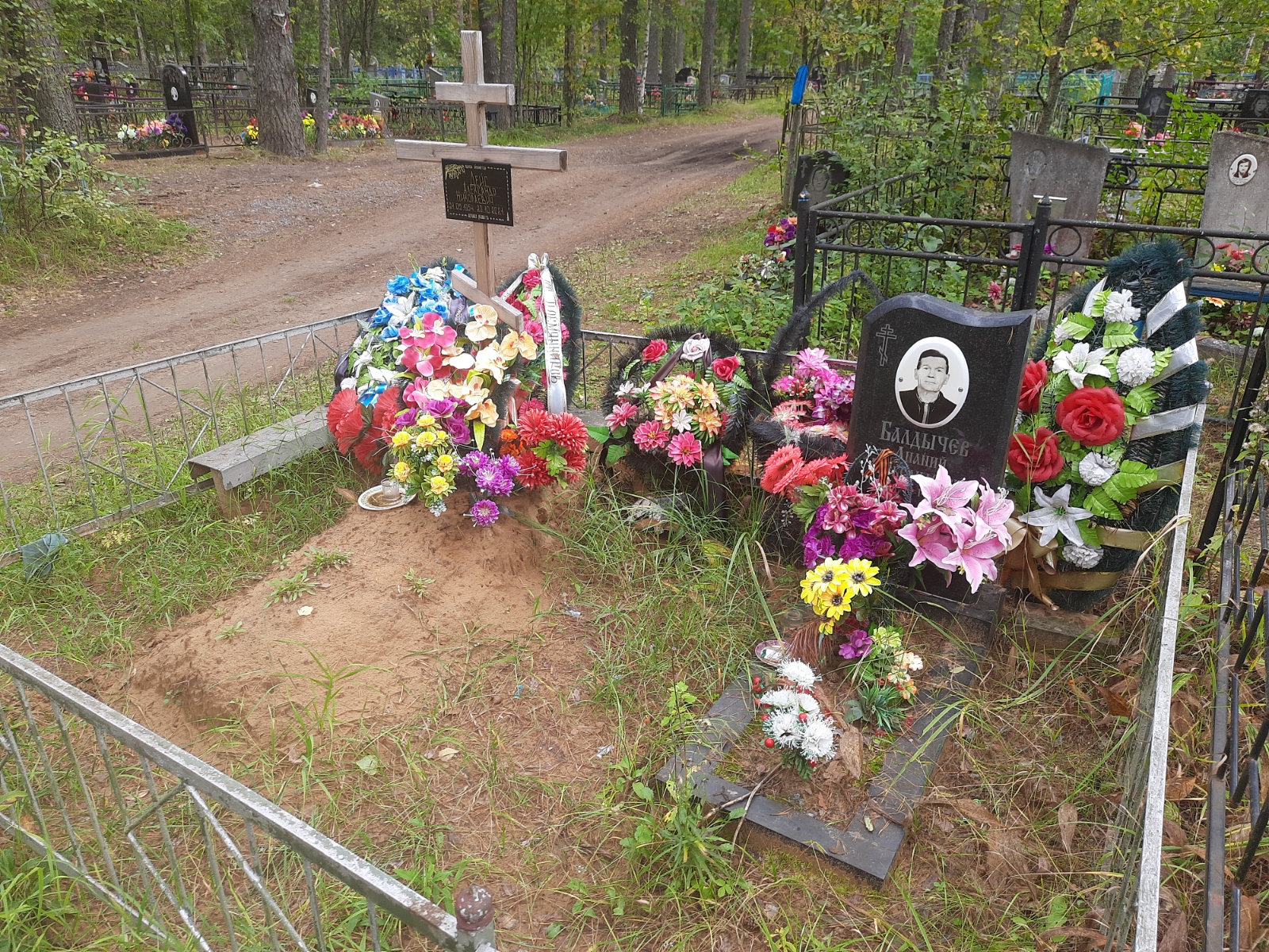 Дейс Александр Николаевич
