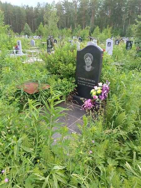 Спиридонова Елизавета Сергеевна