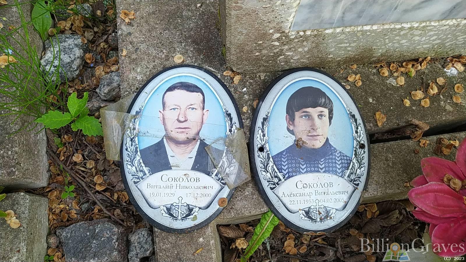Соколов Александр Витальевич