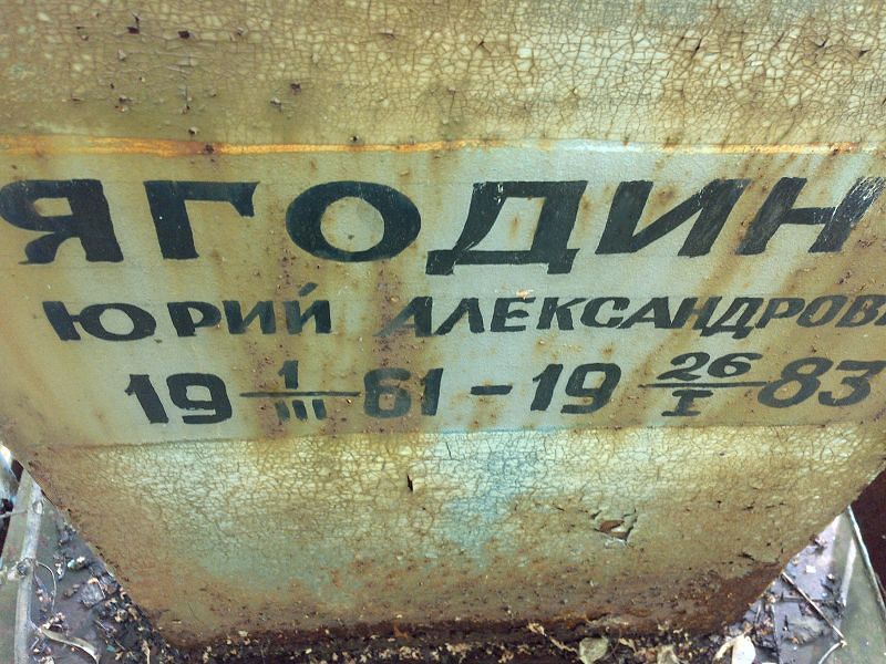Ягодин
