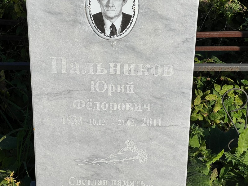 Пальников