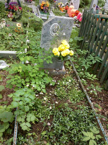 Краснянская Вера Павловна