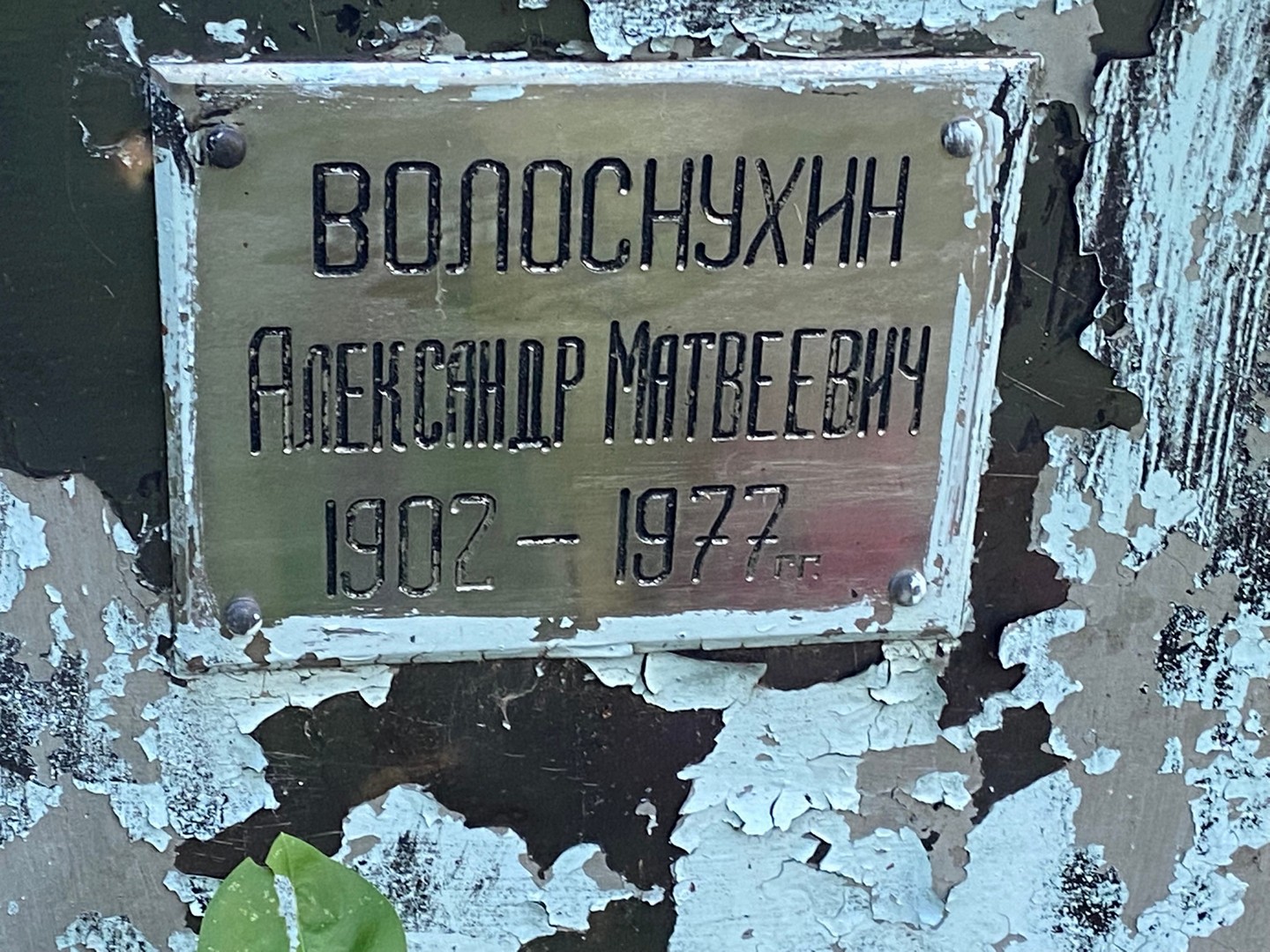 Волоснухин