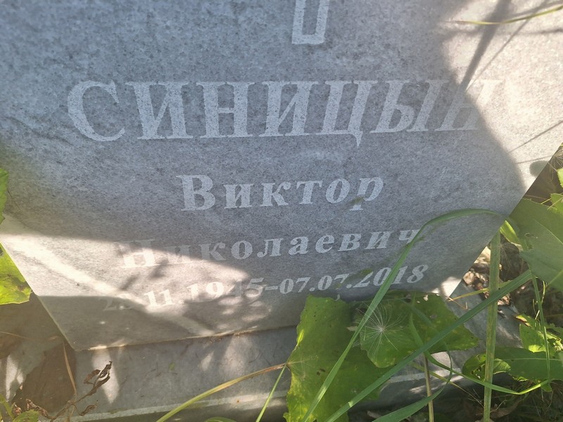 Синицын