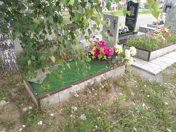 Дмитриева Нина Николаевна