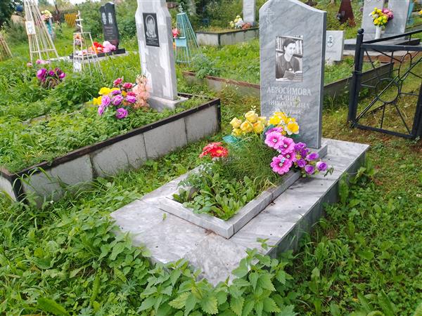 Абросимова Галина Николаевна